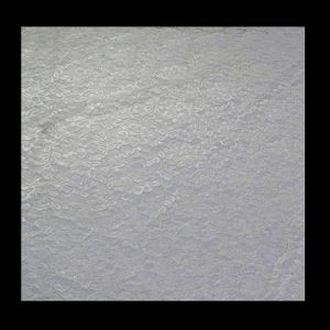 Elegant Cream woven Dutch floral lace